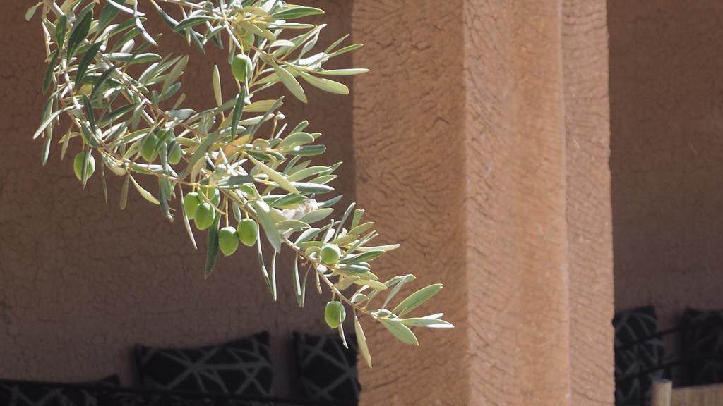 Dar Tifrouine Hotel Lalla Takerkoust Bagian luar foto