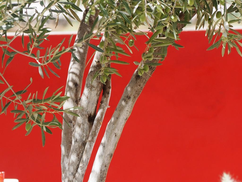 Dar Tifrouine Hotel Lalla Takerkoust Bagian luar foto